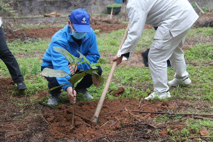 ɫս ɫŵ88վ굺Ŀ֯312ֲ˶-ͼ4.jpg