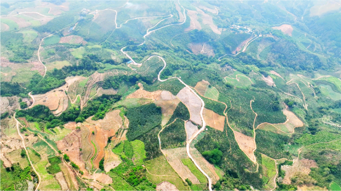 ҵ΢Žͼ_1745844197960