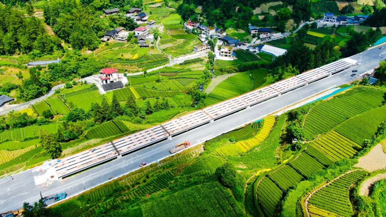 微信图片_20250611102956