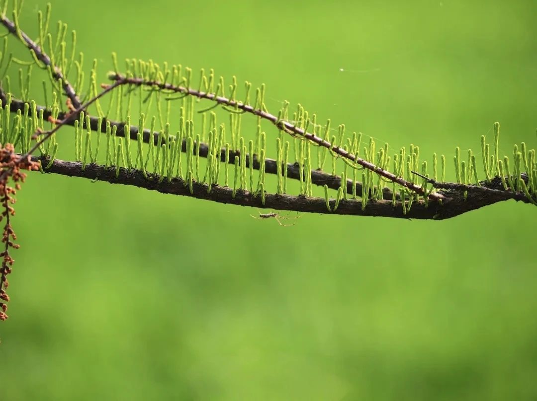 ΢ͼƬ_20250618170157