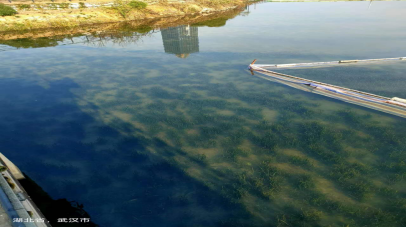 clipbord_1742260330906