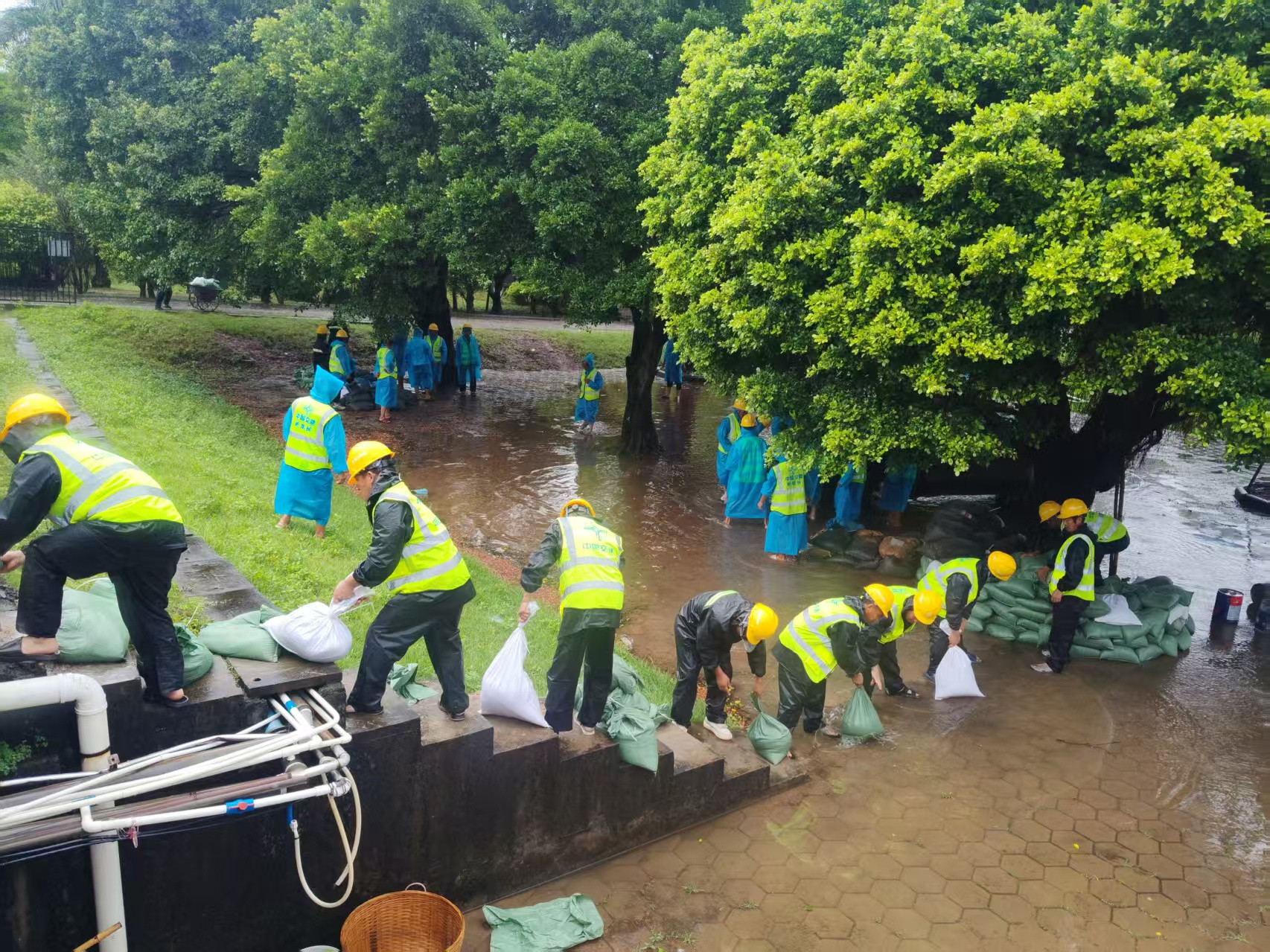 clipbord_1763363847837