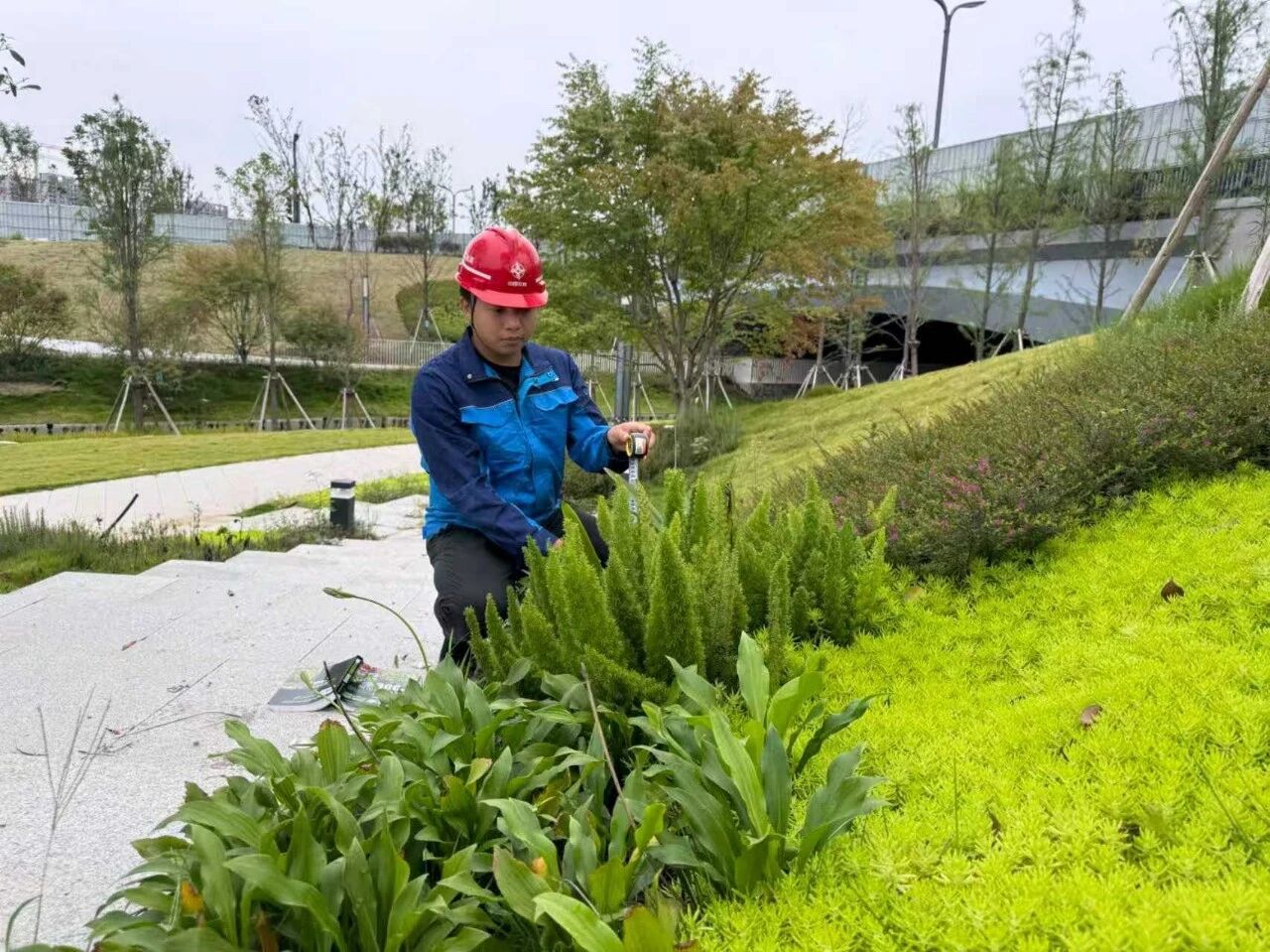 ΢��ͼƬ_2025-12-01_141446_288