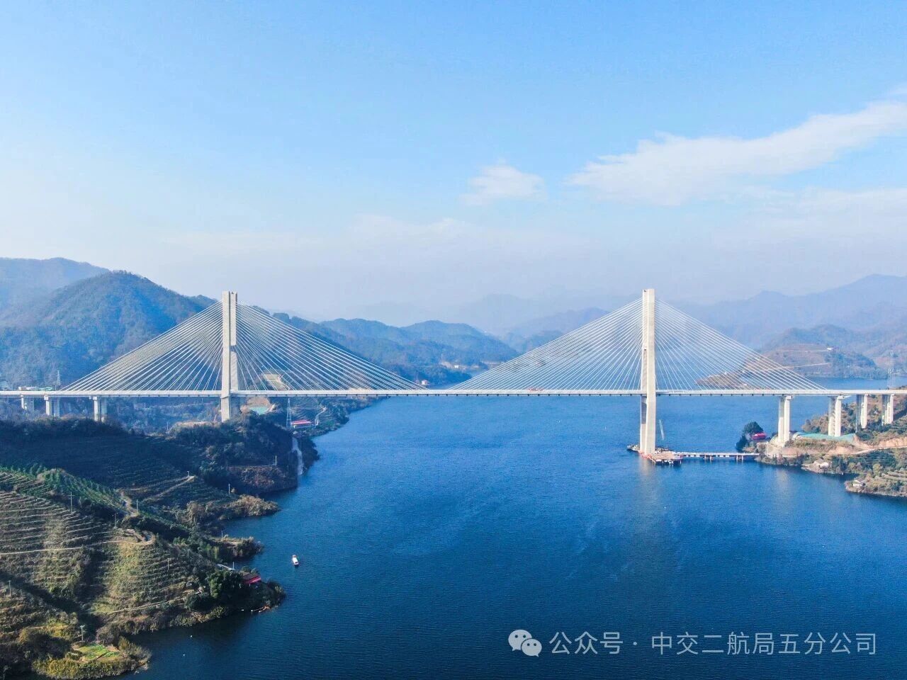 微信图片_2026-02-02_085601_064