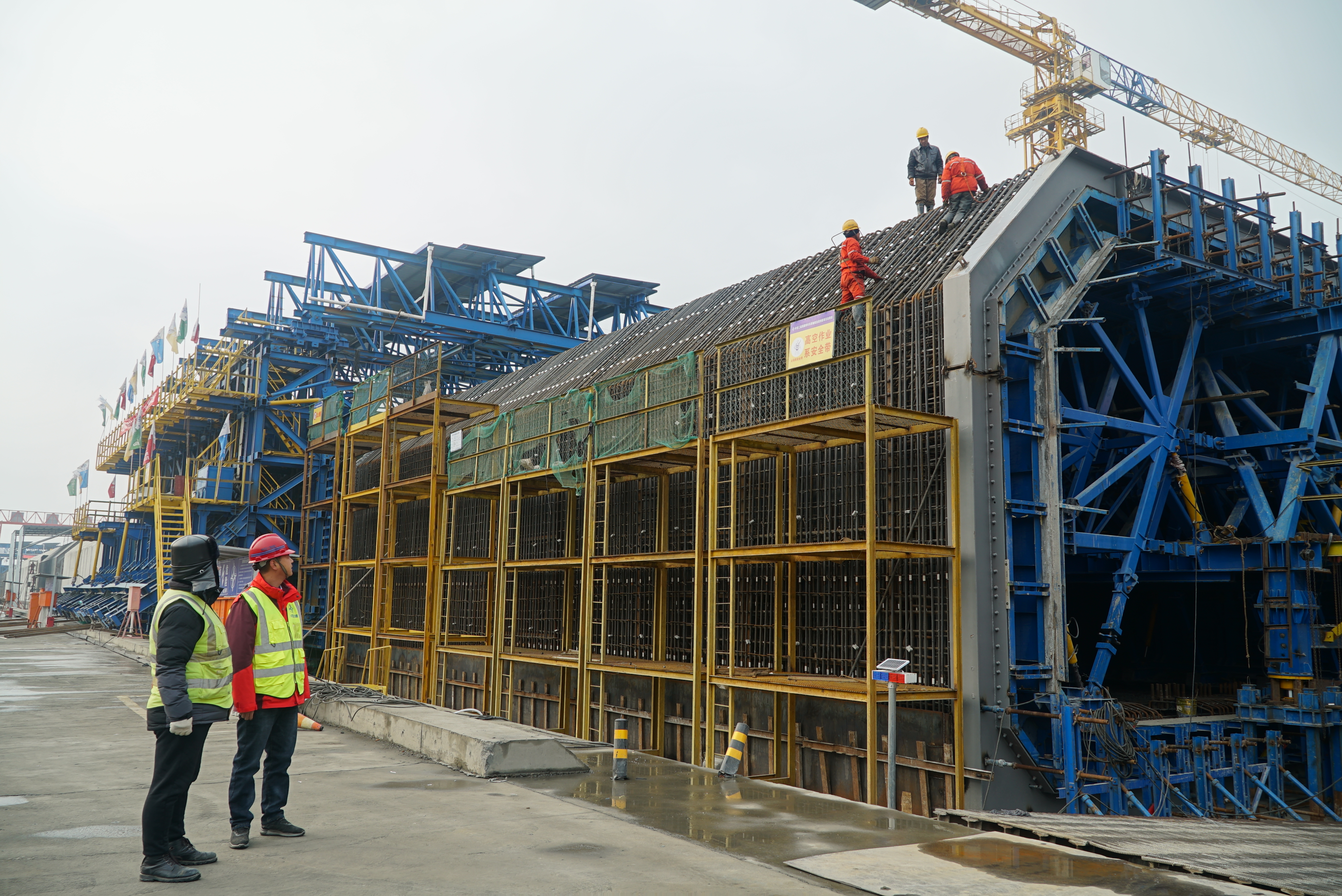 �ŵ�88(�й���)�ٷ���վ