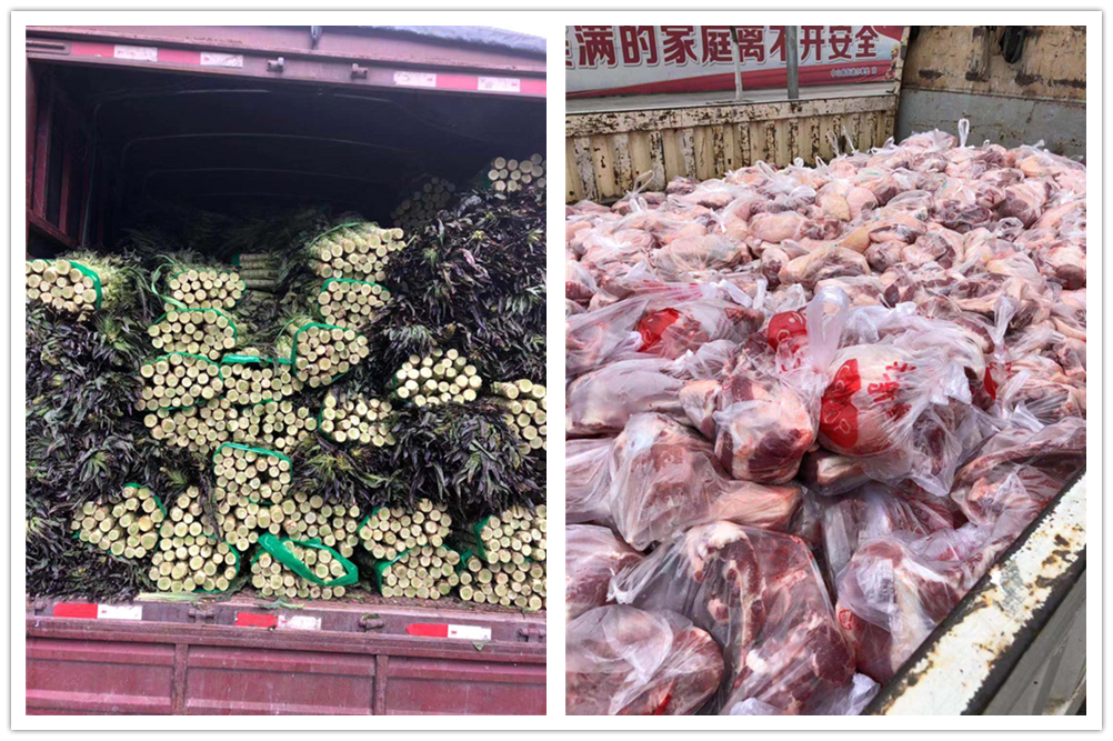 优德88(中国区)官方网站