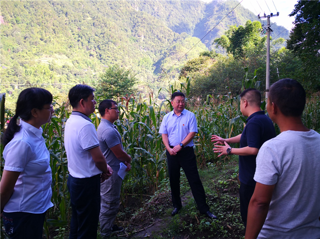 优德88(中国区)官方网站