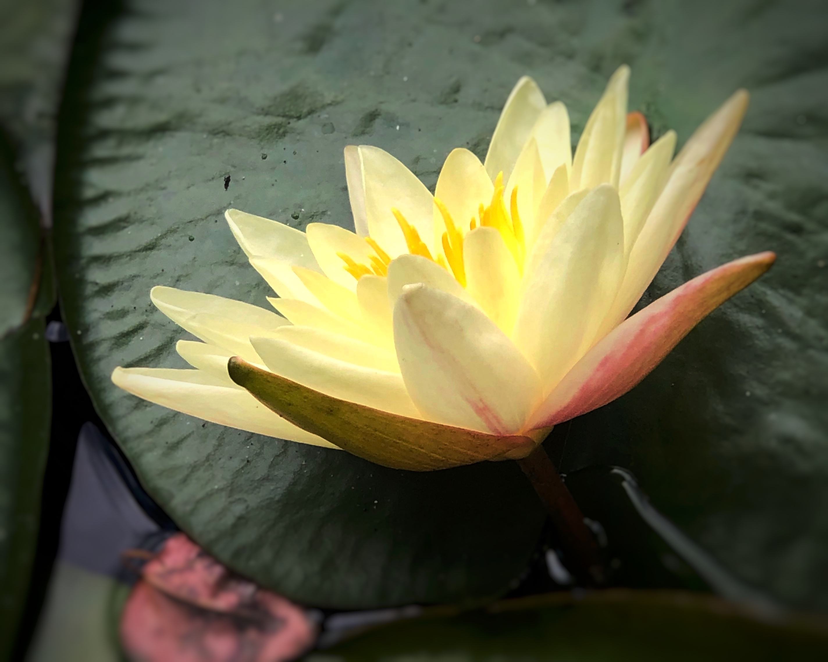 �ŵ�88(�й���)�ٷ���վ