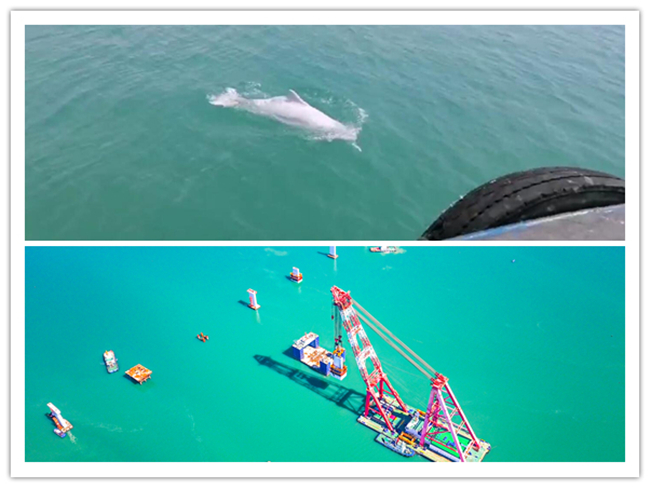 优德88(中国区)官方网站