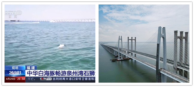 优德88(中国区)官方网站