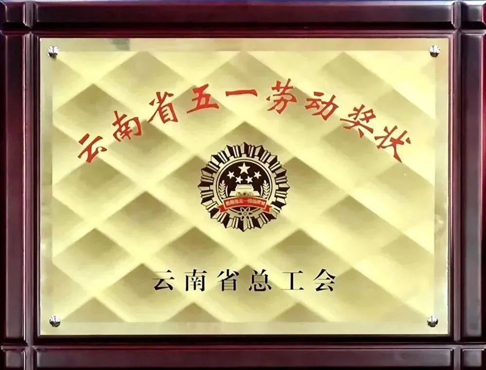 ÓŵÂ88(ÖйúÇø)¹Ù·½ÍøÕ¾