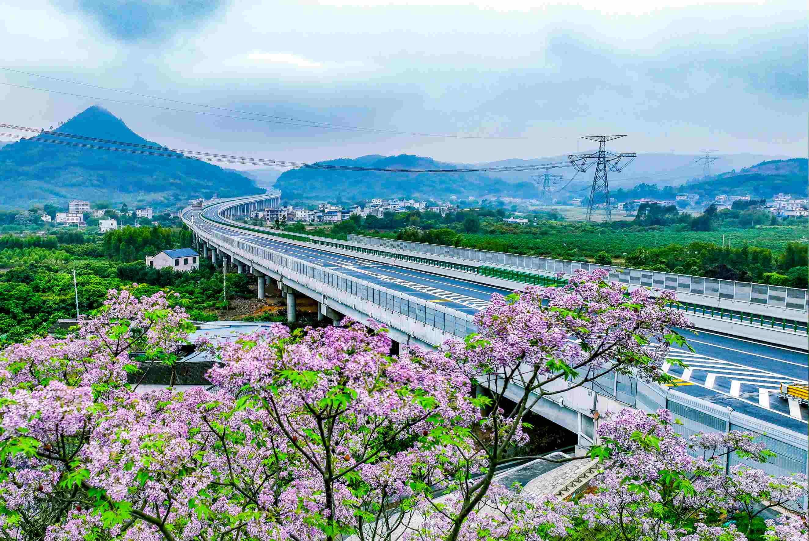 优德88(中国区)官方网站