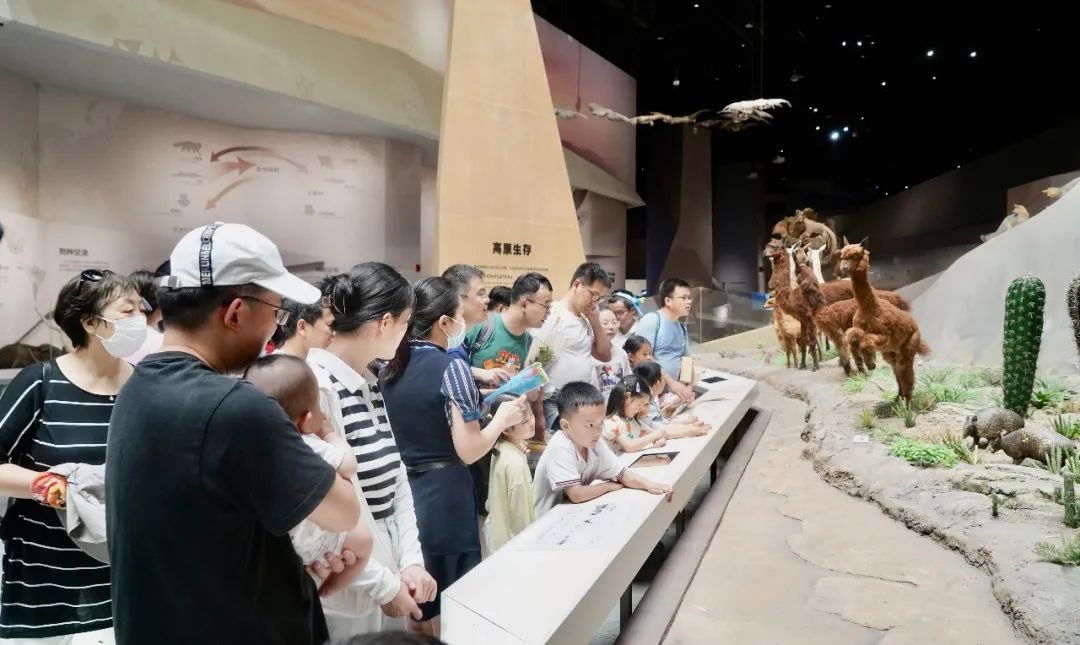 优德88(中国区)官方网站