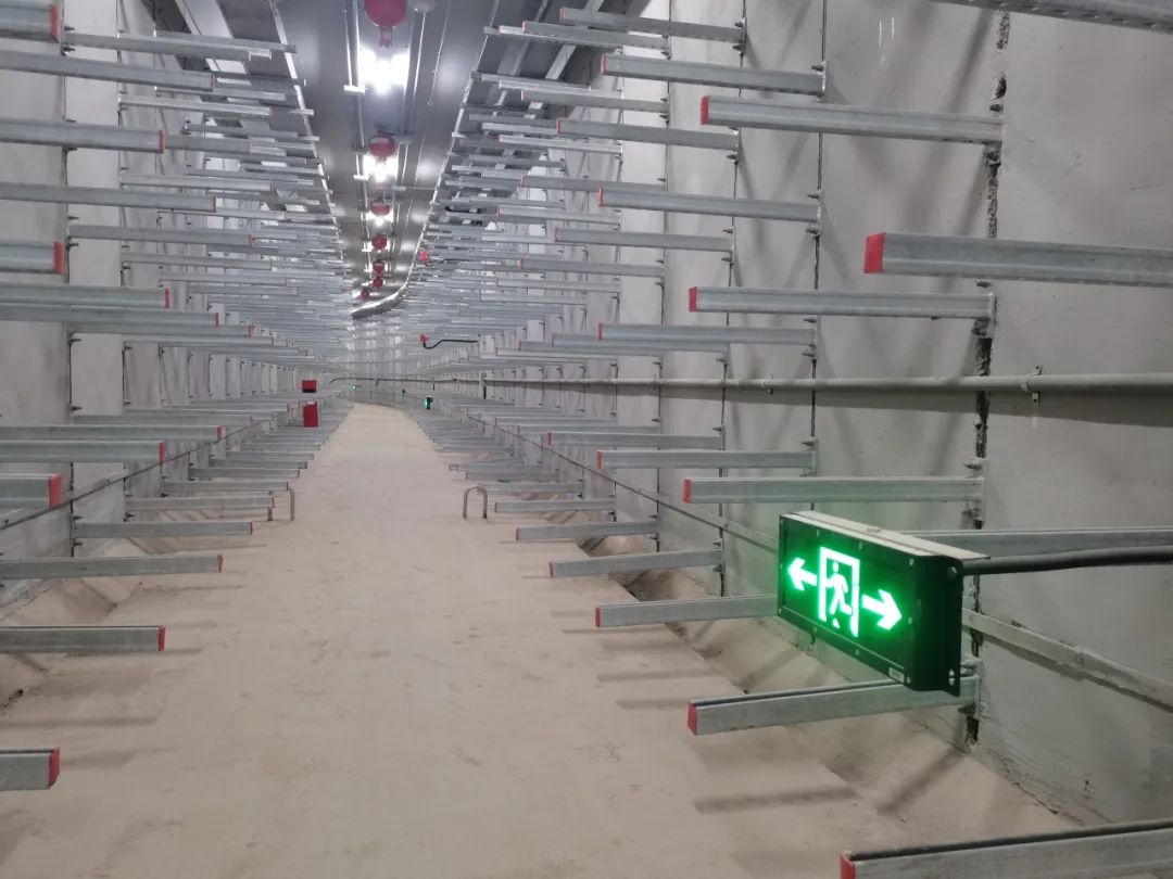 优德88(中国区)官方网站