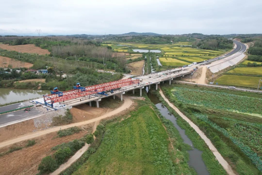 �ŵ�88(�й���)�ٷ���վ