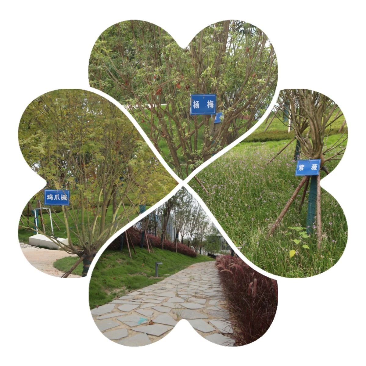 ÓŵÂ88(ÖйúÇø)¹Ù·½ÍøÕ¾