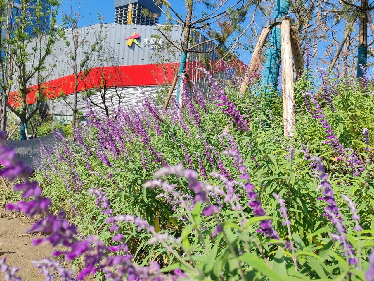 ÓŵÂ88(ÖйúÇø)¹Ù·½ÍøÕ¾