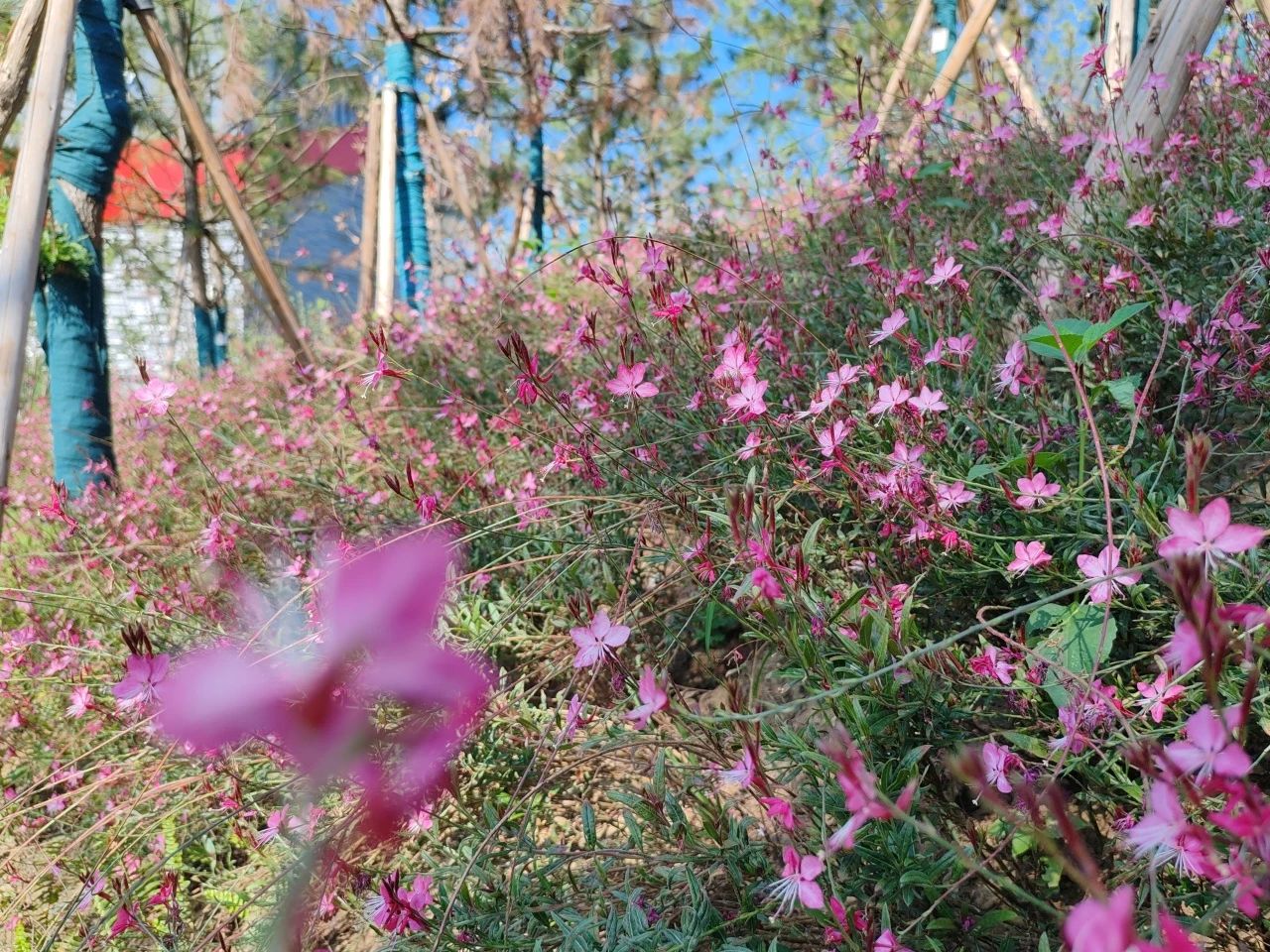 ÓŵÂ88(ÖйúÇø)¹Ù·½ÍøÕ¾