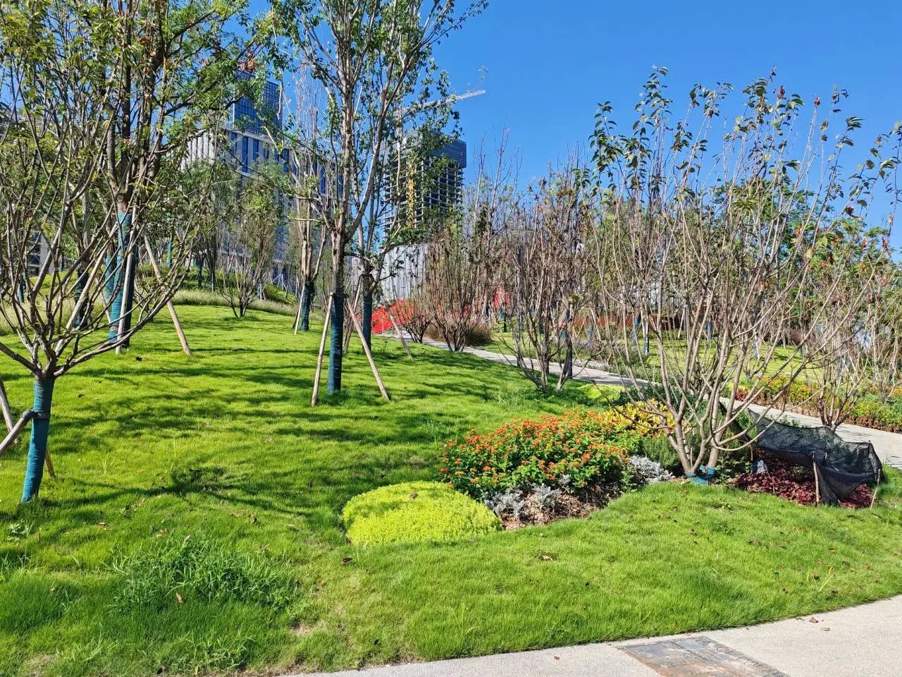 ÓŵÂ88(ÖйúÇø)¹Ù·½ÍøÕ¾