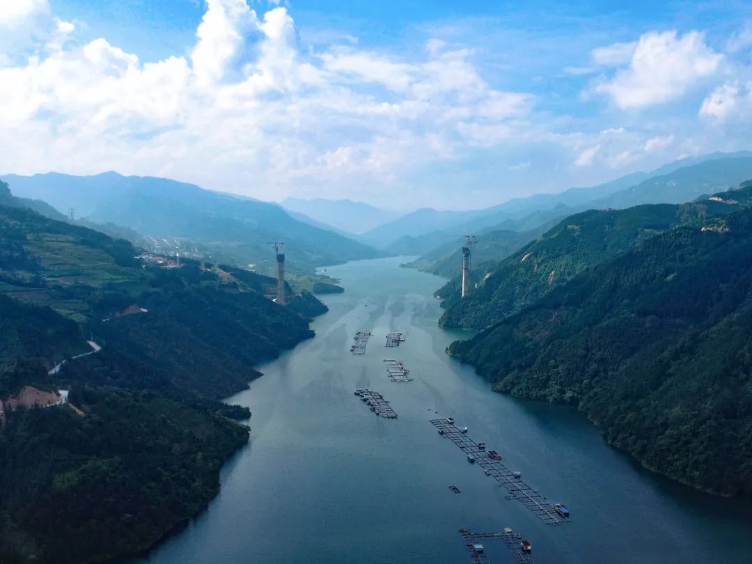 �ŵ�88(�й���)�ٷ���վ