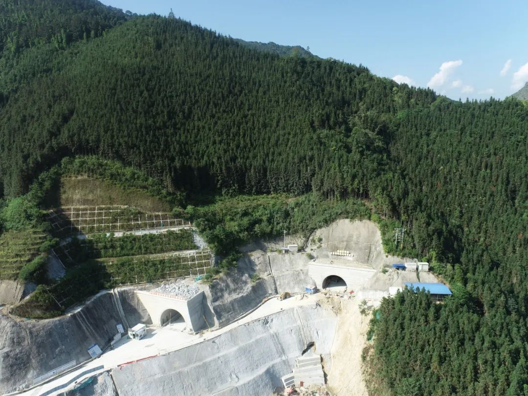 ÓŵÂ88(ÖйúÇø)¹Ù·½ÍøÕ¾