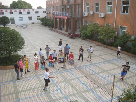 ÓŵÂ88(ÖйúÇø)¹Ù·½ÍøÕ¾