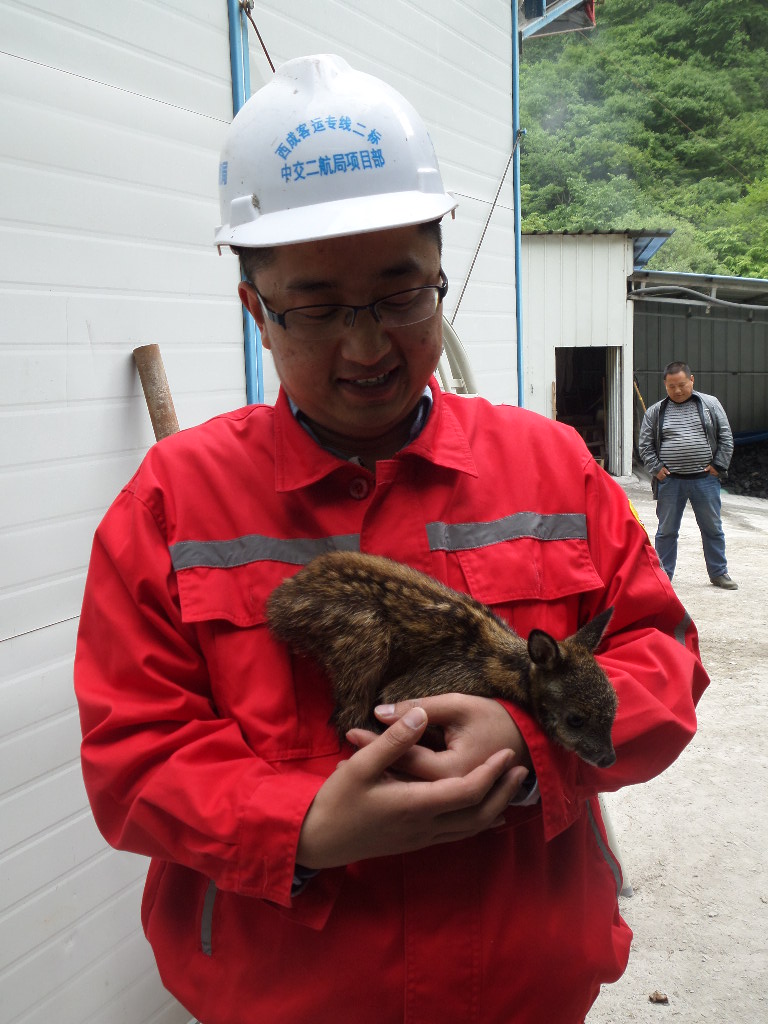 �ŵ�88(�й���)�ٷ���վ