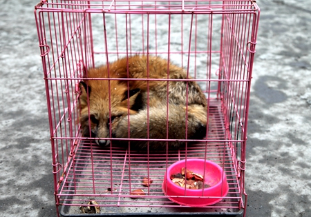 ÓŵÂ88(ÖйúÇø)¹Ù·½ÍøÕ¾