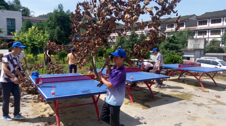 优德88(中国区)官方网站