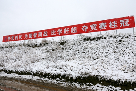 优德88(中国区)官方网站