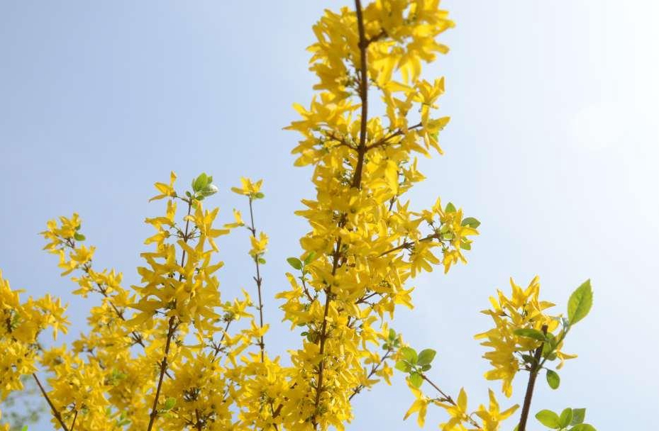 �ŵ�88(�й���)�ٷ���վ