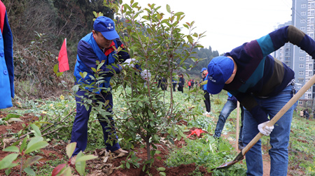 ÓŵÂ88(ÖйúÇø)¹Ù·½ÍøÕ¾