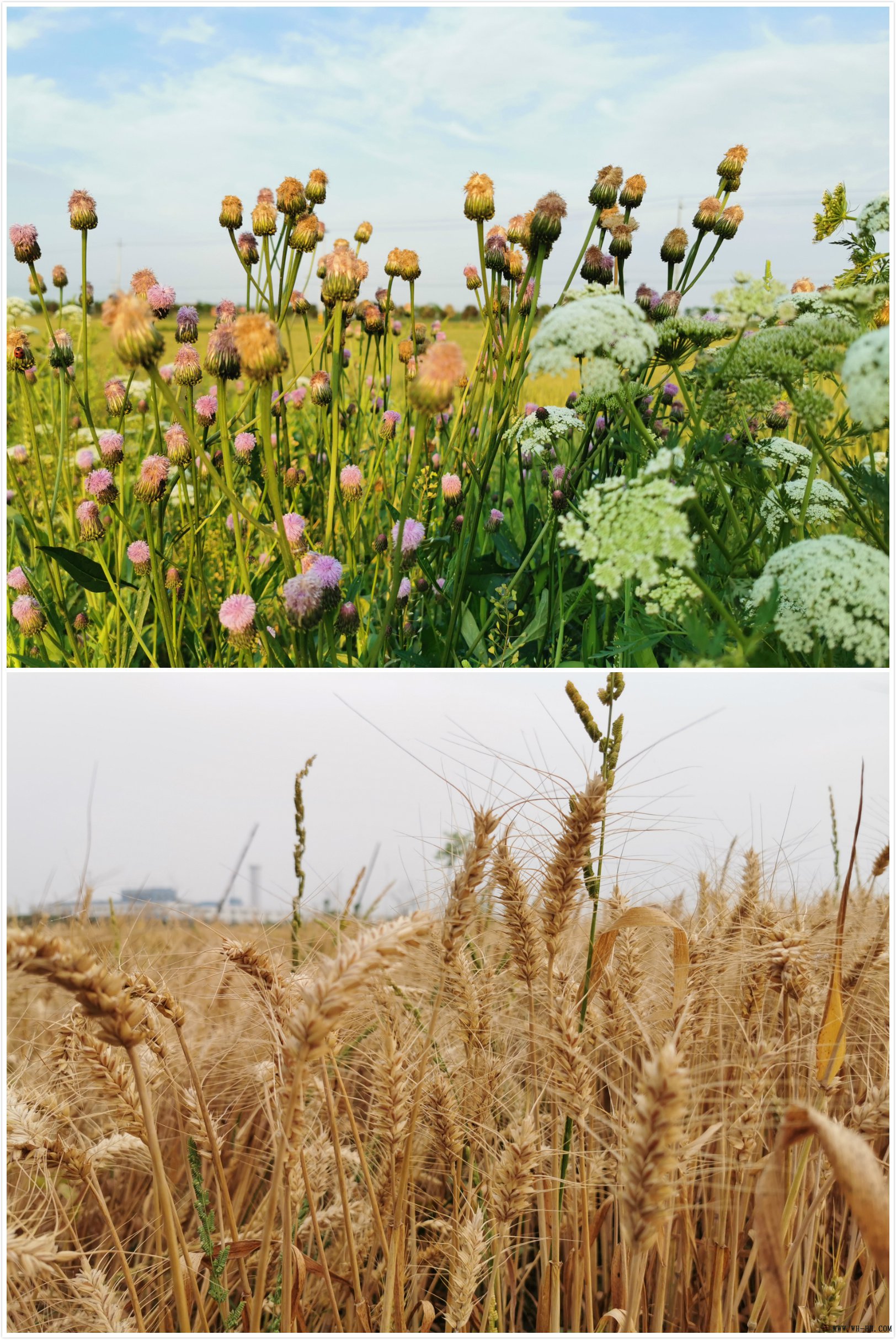 ÓŵÂ88(ÖйúÇø)¹Ù·½ÍøÕ¾