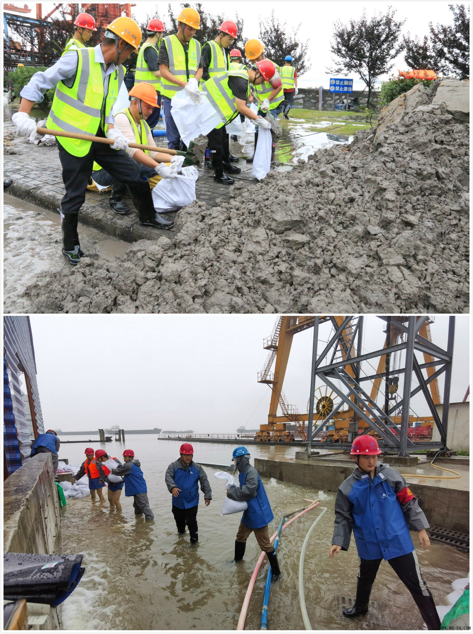 ÓŵÂ88(ÖйúÇø)¹Ù·½ÍøÕ¾