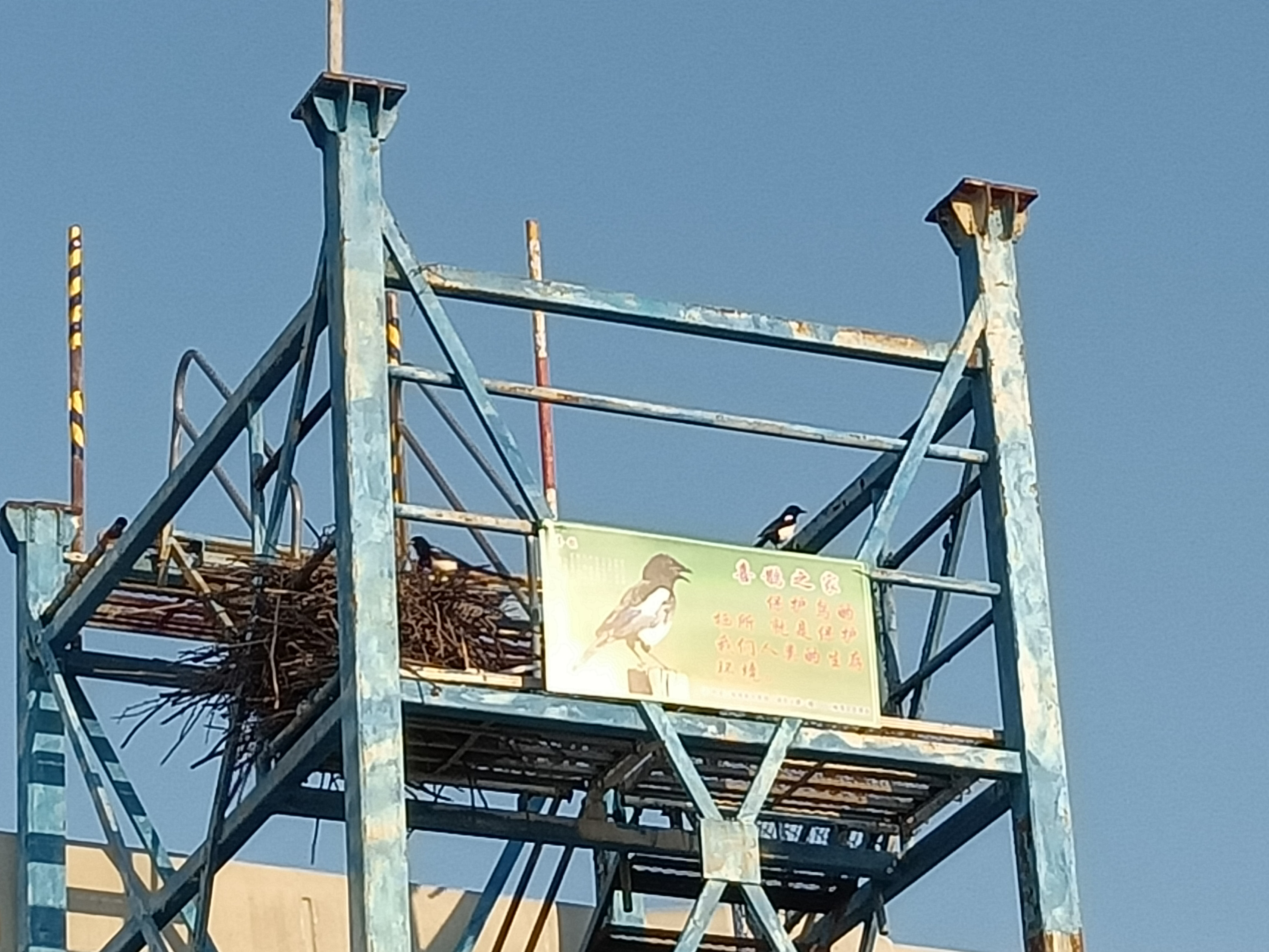 优德88(中国区)官方网站