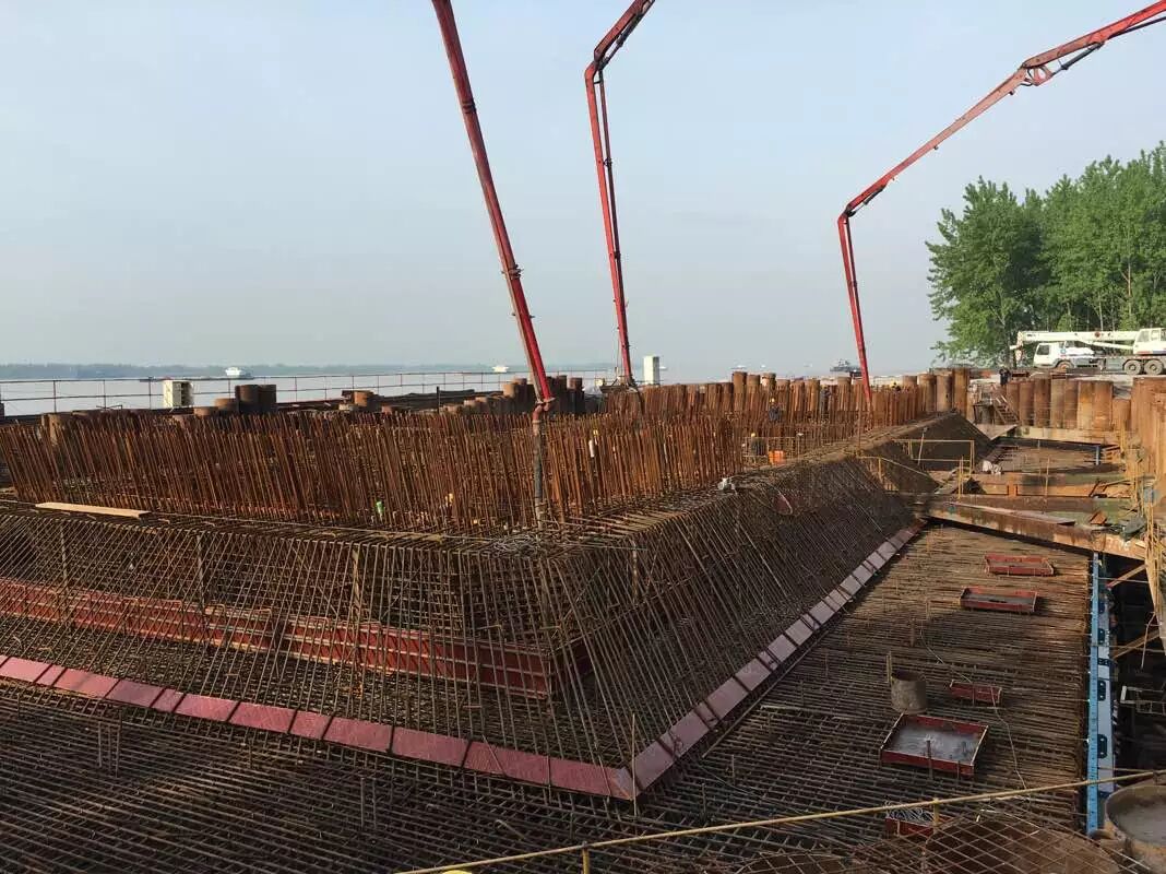 �ŵ�88(�й���)�ٷ���վ